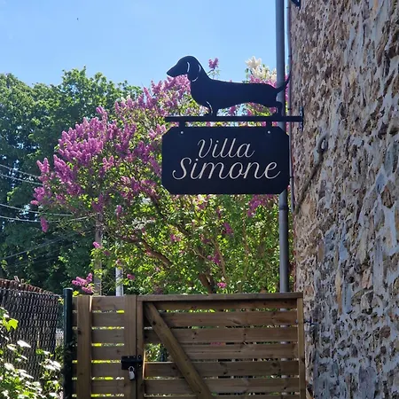 Simone Villa *
